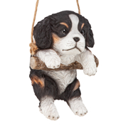 Image Thumbnail for KING CHARLES CAVALIER PUPPY ON A PERCH HANGING